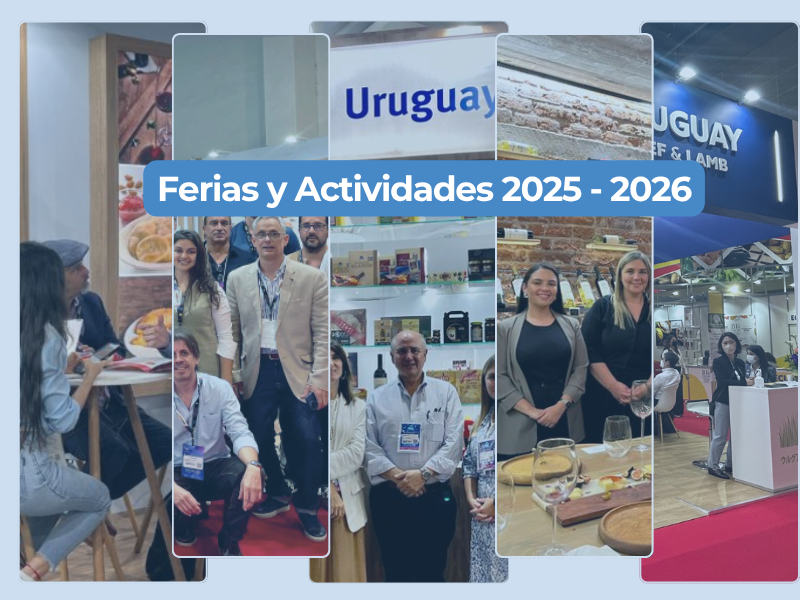 Imagen destacada (72)